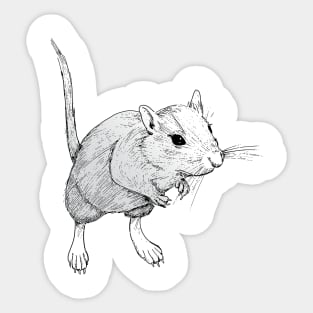 Gerbil On Sticker